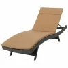 Top 10 💯 GDFStudio GDF Studio Nassau Outdoor Gray Wicker Adjustable Chaise Lounge, Caramel Cushion 🧨