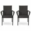 Best reviews of 😍 GDFStudio Johnston Outdoor Contemporary Wicker Dining Chair, Set Of 2, Gray, Multi-Brown ⌛